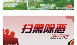 东莞新闻今日爆料视频,今日爆料视频揭秘惊人内幕