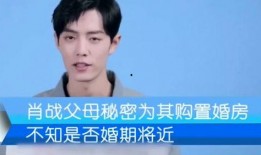 大学爆料肖战视频,揭秘校园生活点滴